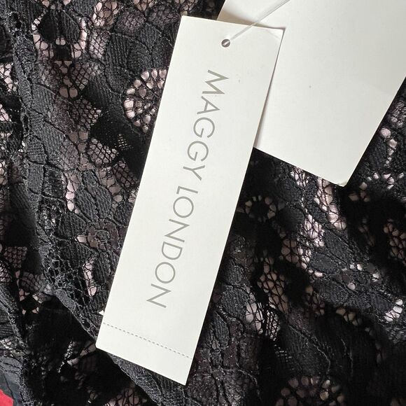Maggy London Sheath Dress Size 10 Nude Black Lace Overlay Star Flower NWT - Picture 13 of 16